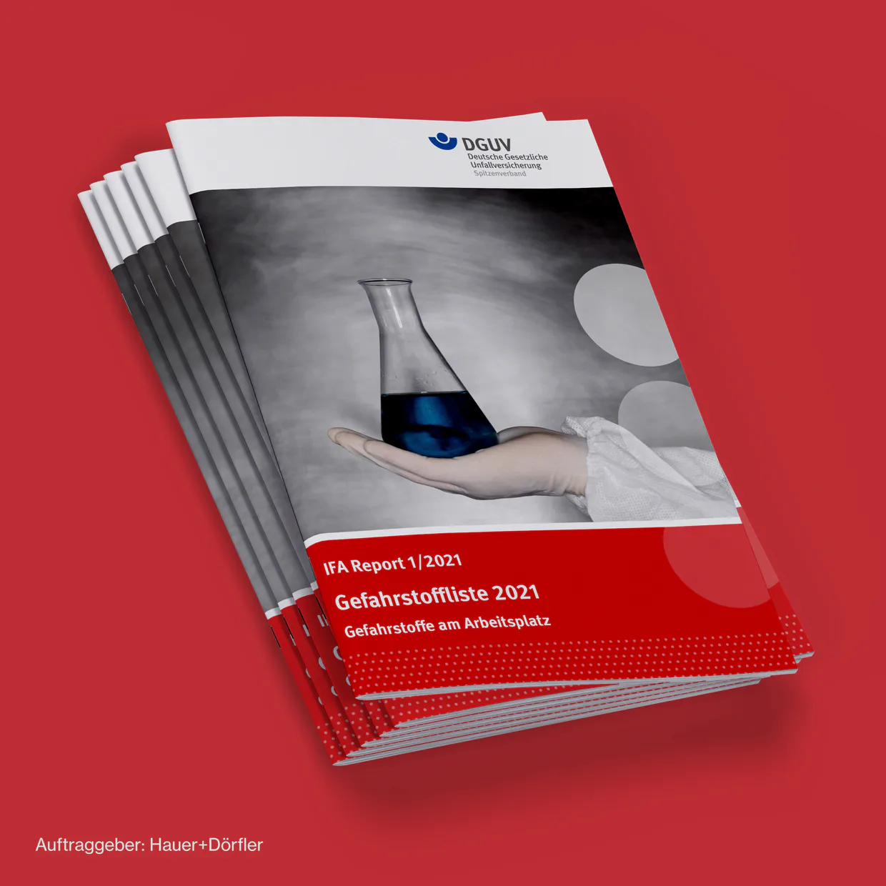 Hauer+Dörfler/Deutsche Gesetzliche Unfallversicherung e.V. (DGUV) – Reinzeichnung des InDesign-Dokuments für den Export und Erstellung eines barrierefreien PDFs.