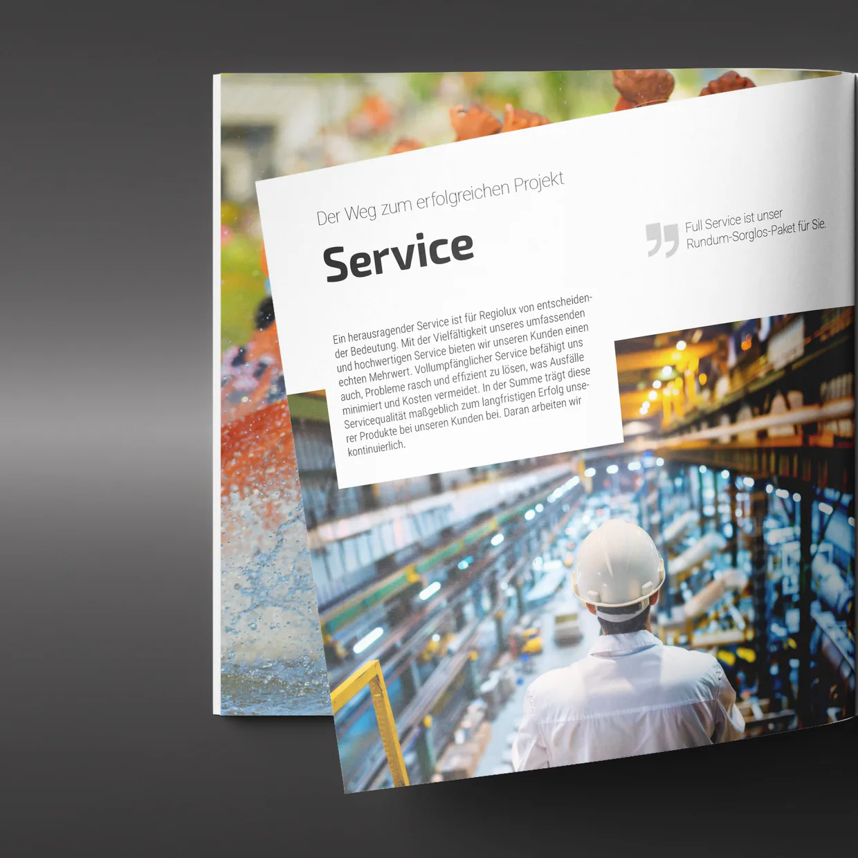 Regiolux GmbH – Produktkatalog, Informationsblatt, Broschüre