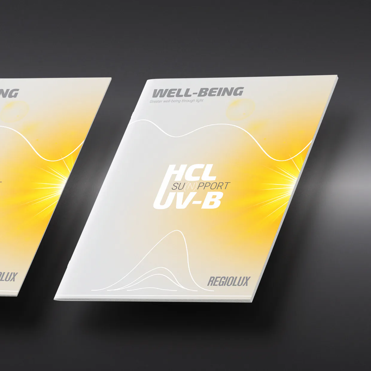 Regiolux GmbH – Produktkatalog, Informationsblatt, Broschüre